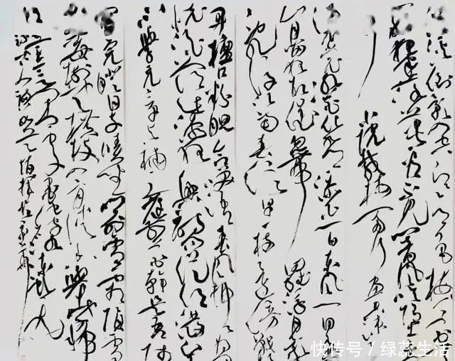 老手#95年的小伙竟然是“国展老手”,草书规矩出新,刚健俊逸,洒脱