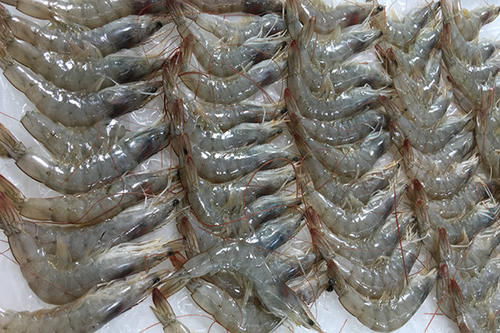 中年|查出甲状腺结节,别担心,尽早将3物拉入黑名单,结节会慢慢变小