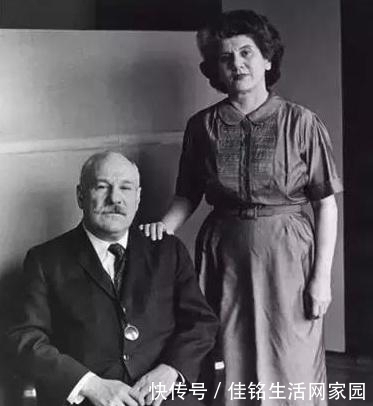 放大|真奇葩画了3条直线卖16亿专家放大28倍,这根本不是直线