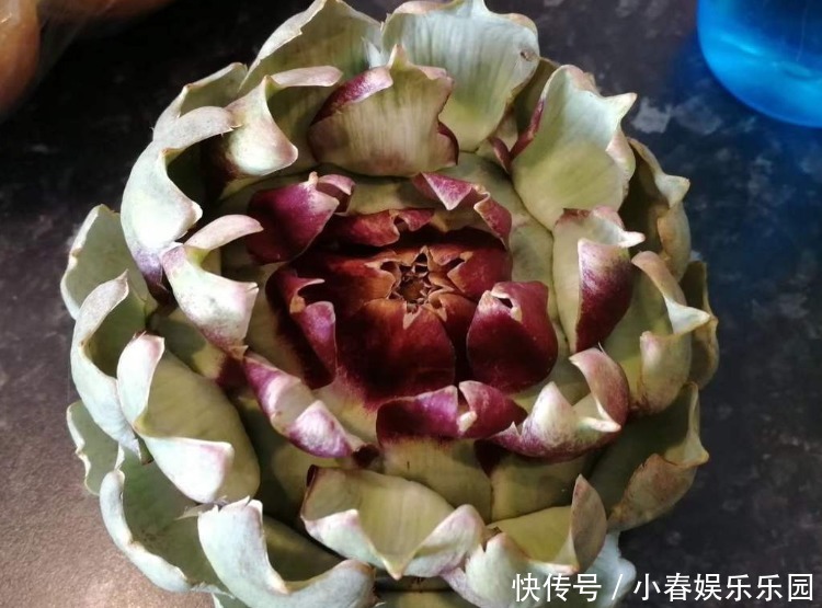 路边没人要的野花,国外人买来当菜吃,开花很美、很受欢迎!