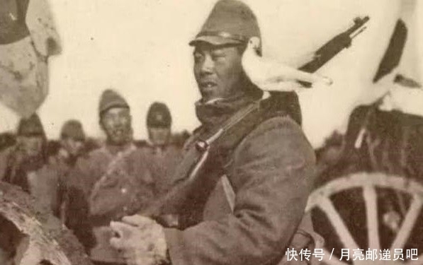 军鸽|抗日战场上最不能留的动物,如果遇到宁可先不杀鬼子,也要先杀它