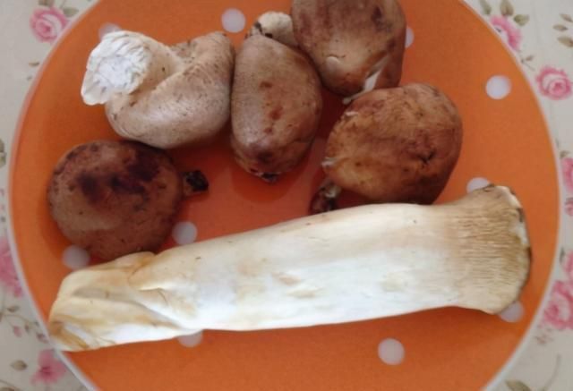 3样素菜一起炒,不放肉也很鲜美,简单营养鲜味足,大人小孩都爱