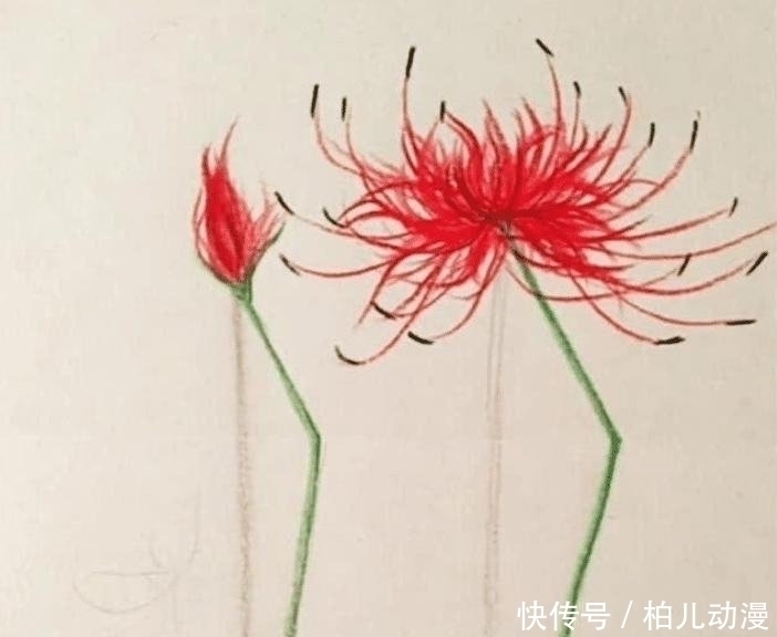 画纸|开始以为是劣质美术生,画朵花杆都“折”了,对着画纸后打脸了