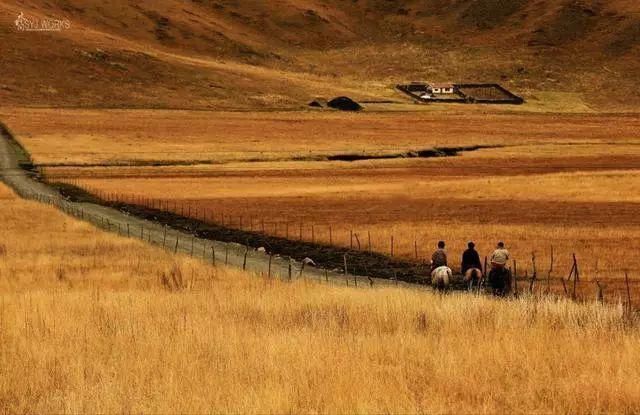 中国最美六大沼泽湿地,养在深闺无人识,去过的都惊叹不已