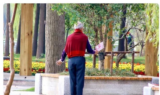  医生|50岁后是养骨关键期，医生支招：常吃3种早餐，健骨防疏松