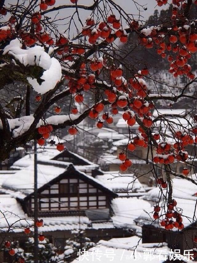 爱上雨|爱上雨的春夏秋冬