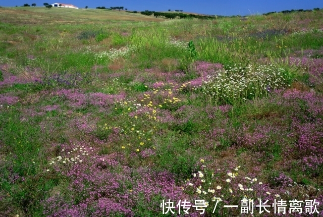 生肖猴|2021年九月开始财富事业最好的前5的生肖