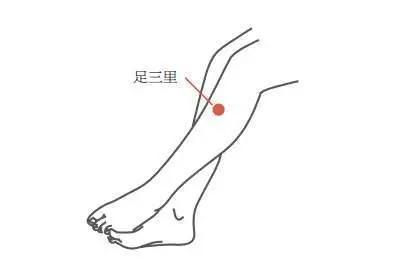 这个穴位谁揉,谁健康!(元龟商城经典分享)