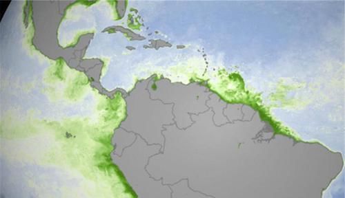 下降 地球磁场出现翻转?气温下降幅度增大,是否会出现寒冬?