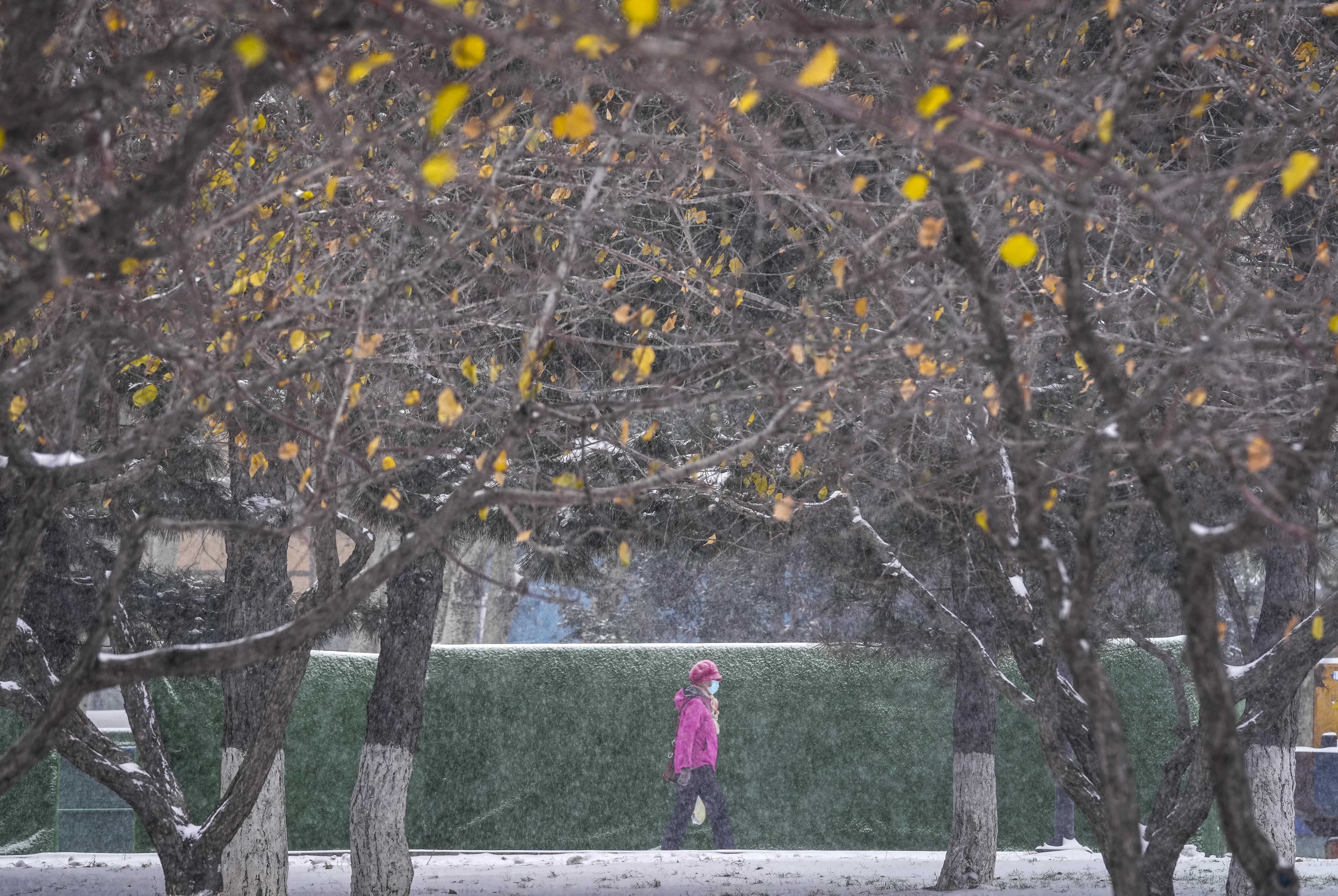 “季节性友谊”重启 快带上雪板咱们“山顶见”|追光| 滑雪场