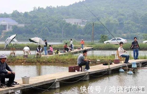 钓鱼人老实好欺负?53位钓友联合报警,黑坑老板将获刑3至10年