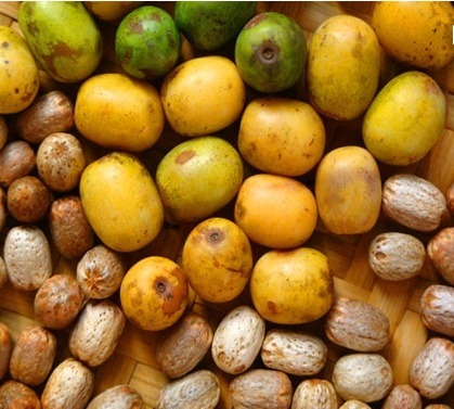 清热解毒|女人怕老不用愁，吃点这3大果子，美颜补血，健脾补肾，滋润补水