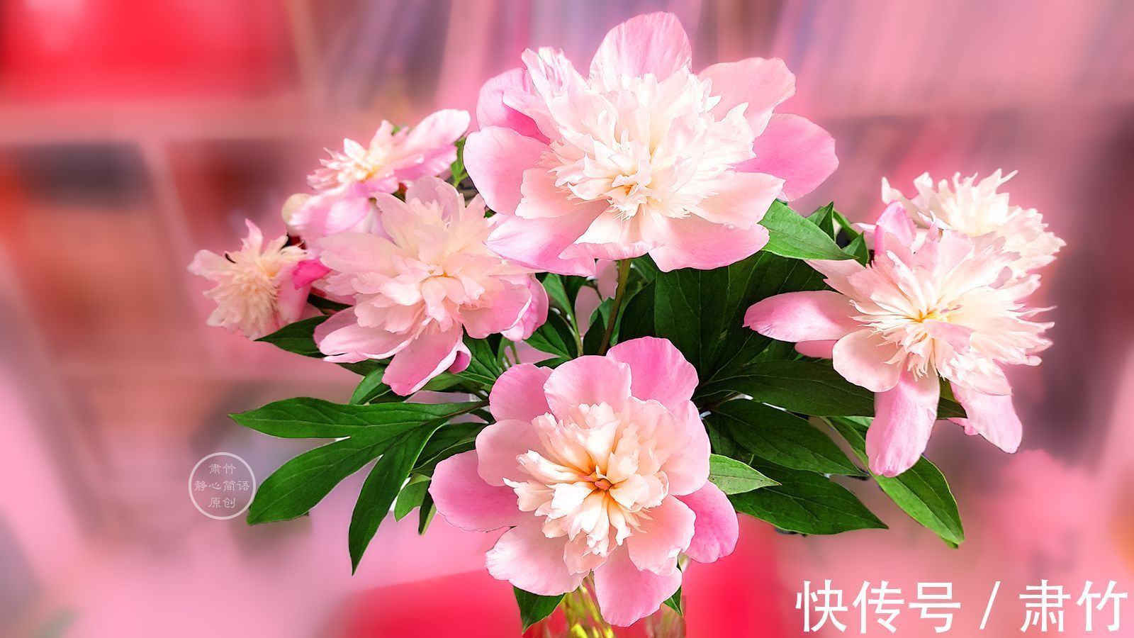 一滴眼泪$落日的色彩,温暖如你向阳的胸怀