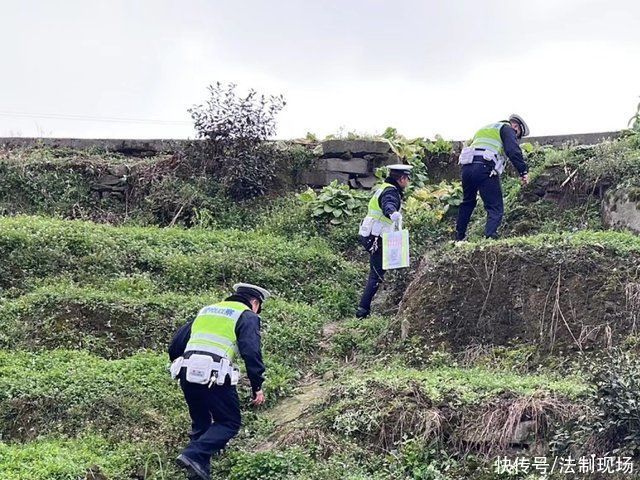 护航采茶季|最是一年春好处，采茶不忘安全路