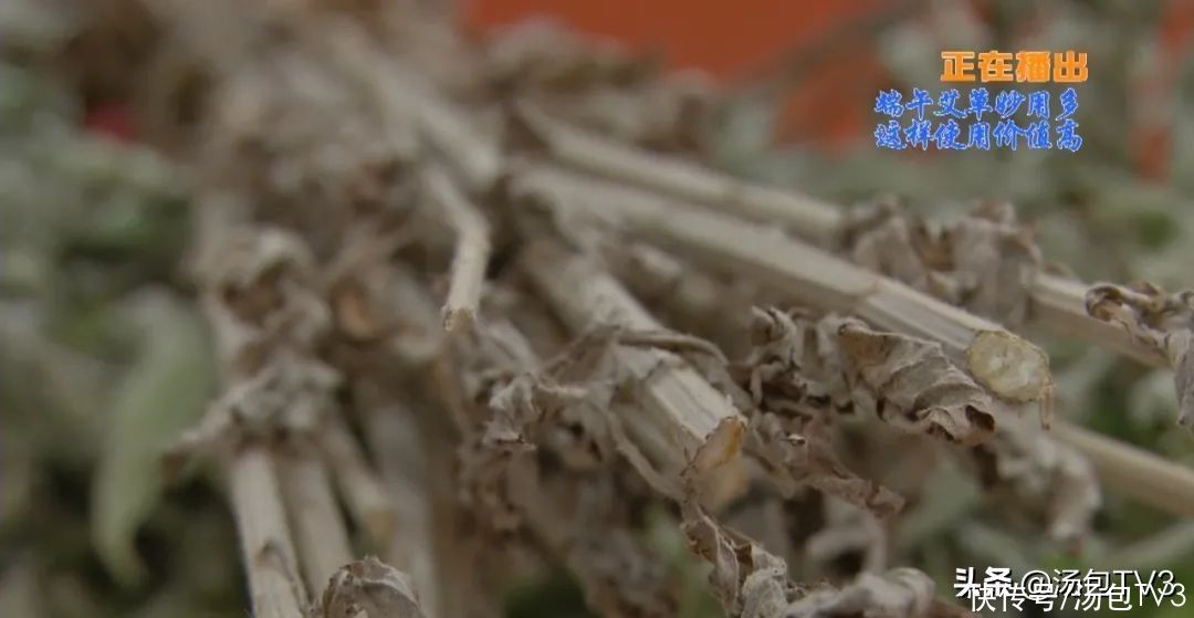 端午|端午将至，又到艾草飘香时 那艾草的价值你知道吗？