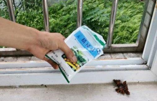 窗户滑道灰尘多太脏了,教你一招就能干净如初,简单方便又快捷