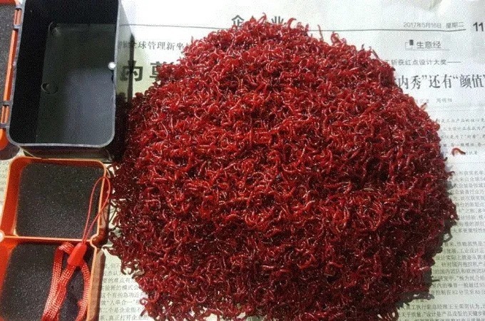 老钓手:拉饵我从不单用!只要学会这些搭配方式,大板鲫特好钓