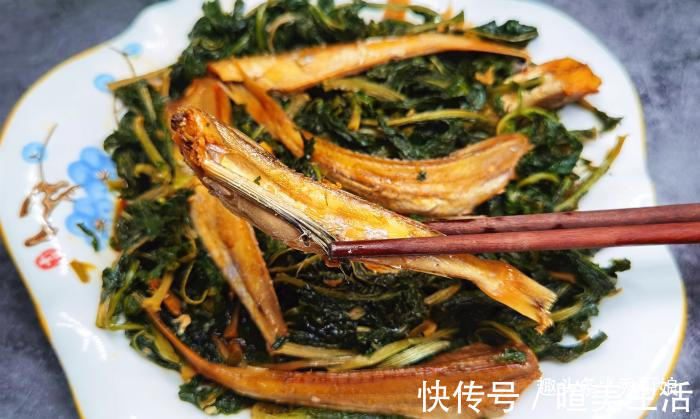 刮刮油|很多人只吃果肉，其实叶子才是宝贝，多捡些回家，一晒一烀，真香