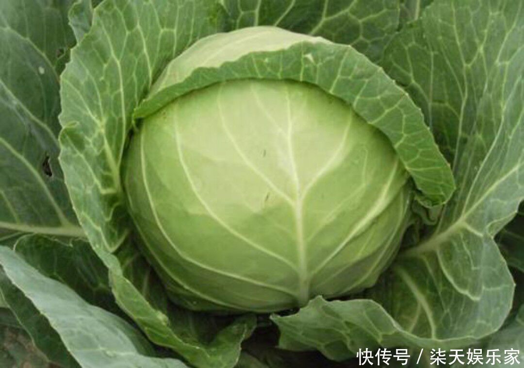 植化素|漂亮女性常吃的3种蔬菜,皱纹减少,心态变好,肌肤吹弹可破真棒