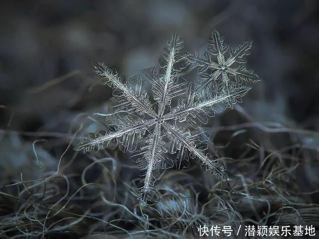 他用8个冬天拍下雪花的样子，每一朵都如此惊艳！