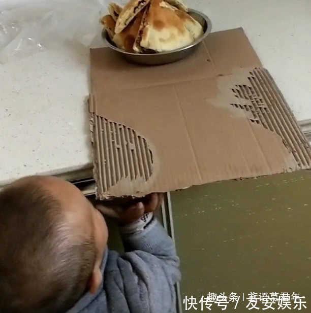 迷你版|迷你版“吃货小达人”用纸箱子偷肉饼吃火了，绝对是个“惯犯”