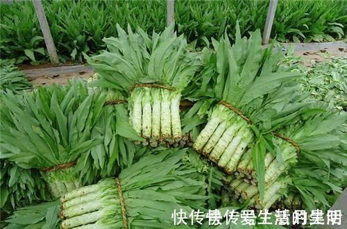 失眠|睡眠不好的人,不妨多吃这5种食物,让你倒头就睡,一夜好梦