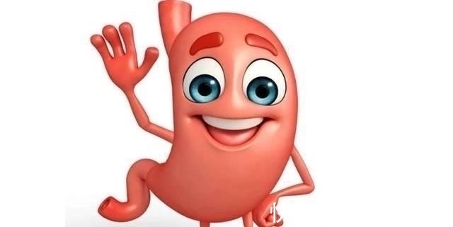 营养物质|胃部的“抑菌王”找到了,医生坦言:平时敞开吃,胃好不生病