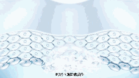 为何他们都说日本的化妆品更适合中国女孩！