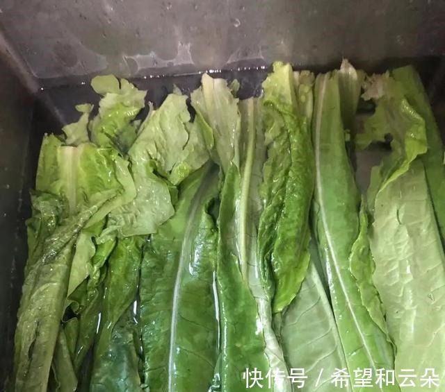 低脂低卡的蔬菜,加入它,大火一炒,清脆爽口,满满的维生素!