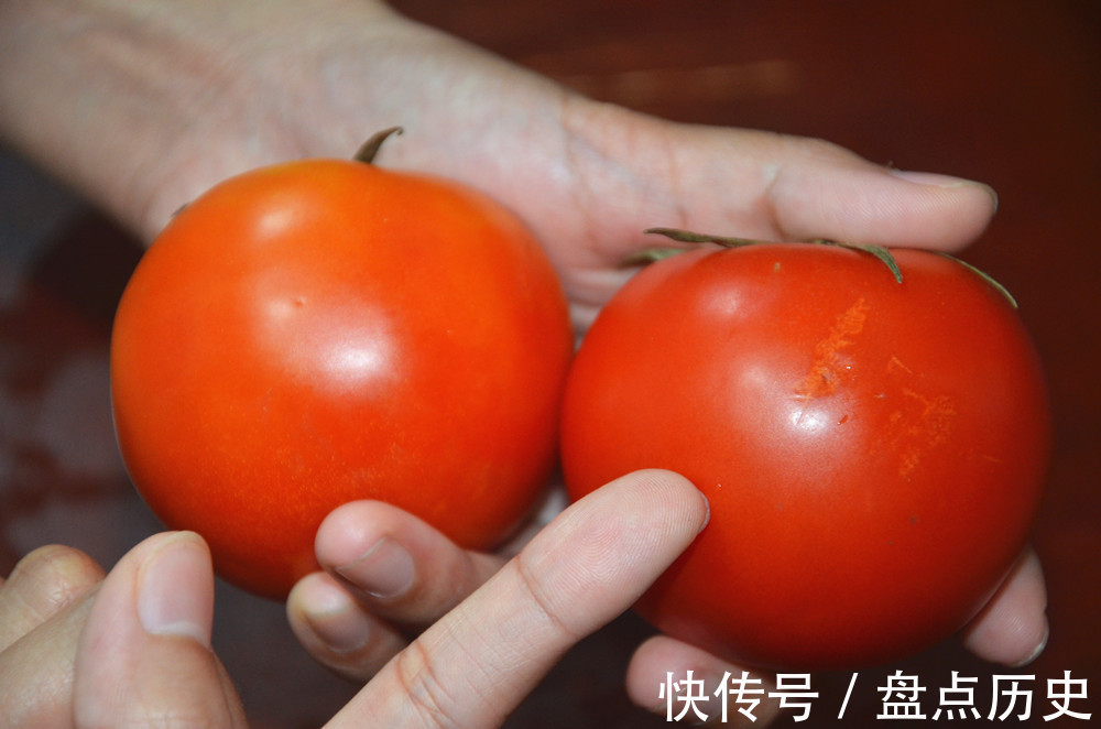 洋柿子|打了激素西红柿怎么辨别?菜农:教你4招,包你买到优质西红柿