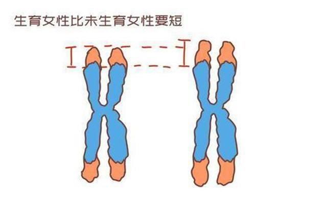 科学家|生个孩子相当于老几岁？听听科学家的说法，三个护理要点请记牢