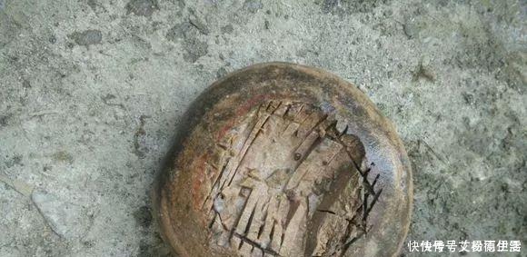 石头|大爷用石头来养花,越养越值钱,有人出1000块也不卖!