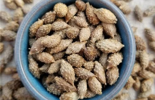 打喷嚏|有史以来反馈最好的方子,最快三天搞定鼻炎,今天再说一遍