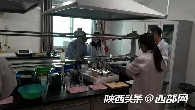 西安市|一地出现多例出血热患者！会人传人吗？上海出现过吗？草莓还能不能吃？