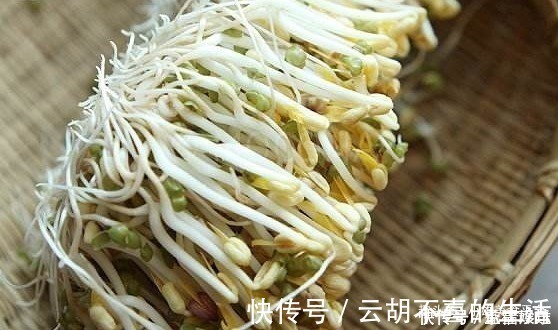 豇豆|今天才知道，原来发豆芽这么简单，3天就能吃，比买的还脆嫩新鲜
