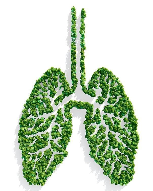 肺不够健康的人,身上会有“1痛2痒”,若一个没有,肺还不错