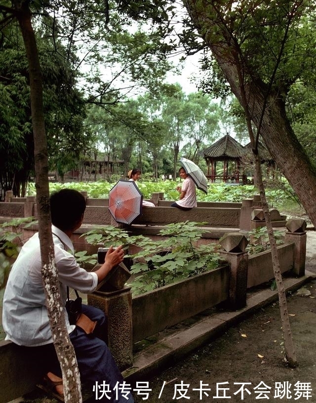 浙江杭州1981年，彼时的城市街景与景区游人