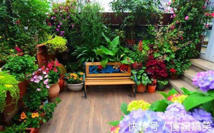 凤仙花|家里万万不要养这几种花，放一盆都会对身体不好，聪明人都懂避开