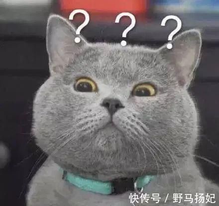 牛女士|为何有钱人宁愿住高层,也不愿意买别墅?揭秘5大真相