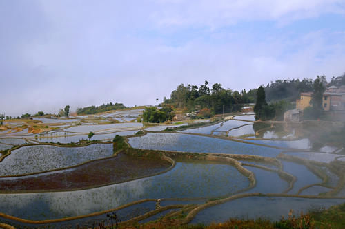 梯田|开车一小时海拔升高两千米，还全是盘山公路，却意外发现了蓝色梯田