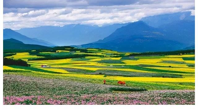 为什么离不开丽江?谢霆锋携《百姓的味道》给出了答案