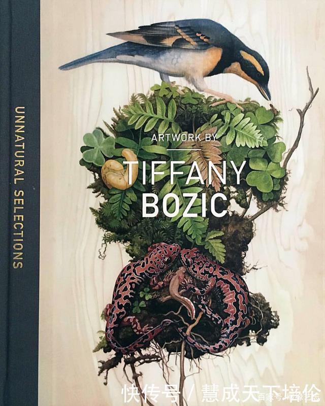 感恩|博齐奇的自然幻境异想天开的科学艺术,感恩生命的生物美学