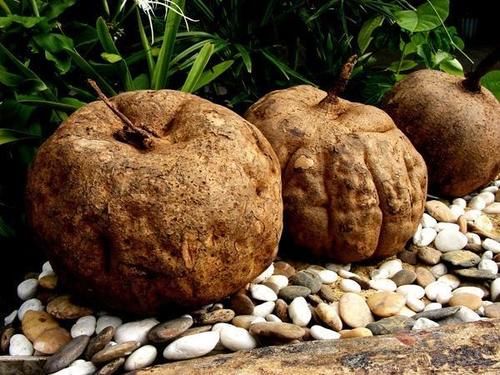 大豆异黄酮|女人到了中年，吃以下这6种食物，或能够补充“雌激素”！