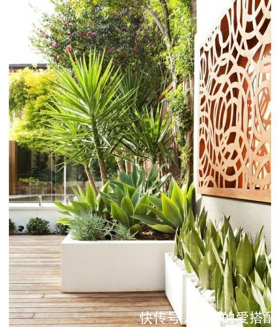 治愈系|小空间庭院花园,正确的绿植搭配技巧,让小院落变身治愈系小花园