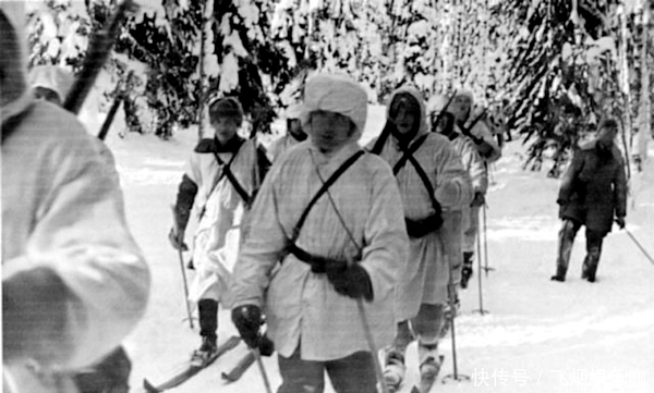 条约|二战苏芬战争，为何成为苏德战争的助推器，谁汲取教训谁赢得胜利