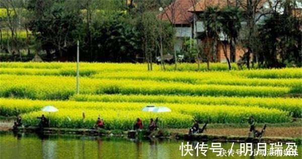 钓鱼人,你“中毒”有多深?这些“症状”满足3条,一定是老司机
