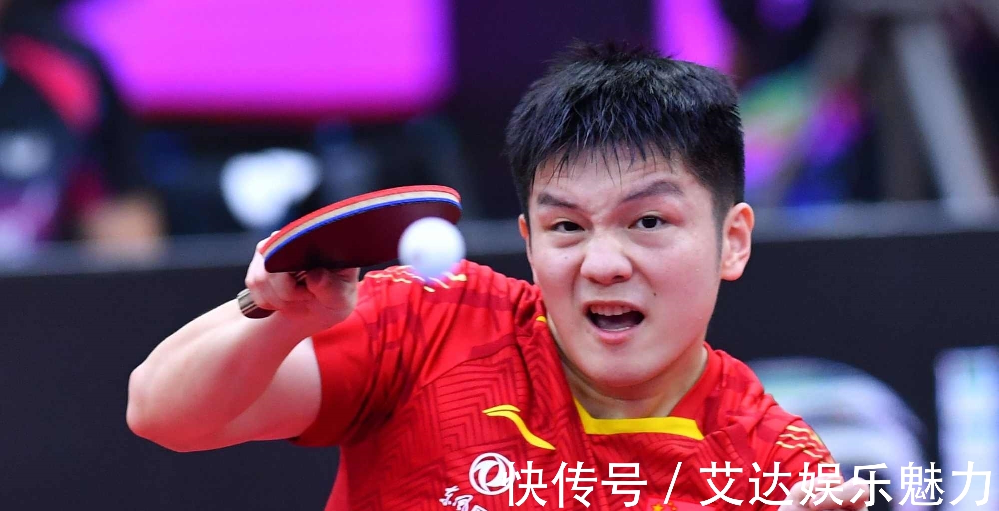 日乒|1-4！张本智和黑脸，无缘世界杯冠军，樊振东神了：8天2夺冠军