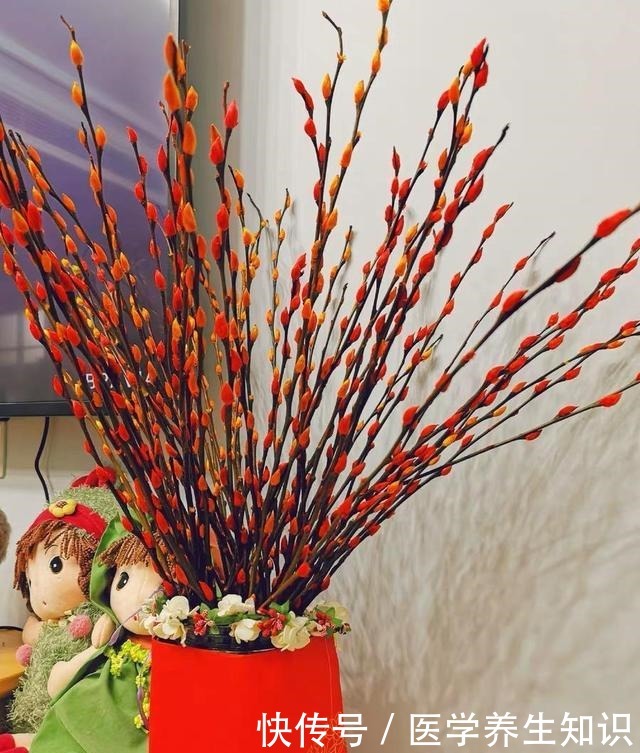 两种“花枝”很漂亮,花友很喜欢,一个水瓶就能养,花香四溢的!