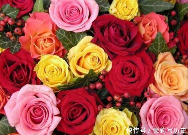 适合家养的几款花卉,提升格调和品味,清新自然,客厅必备