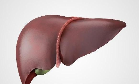 冬天|1种肉从现在开始吃,冬天关节不痛、四肢不凉,但1类人无福享受